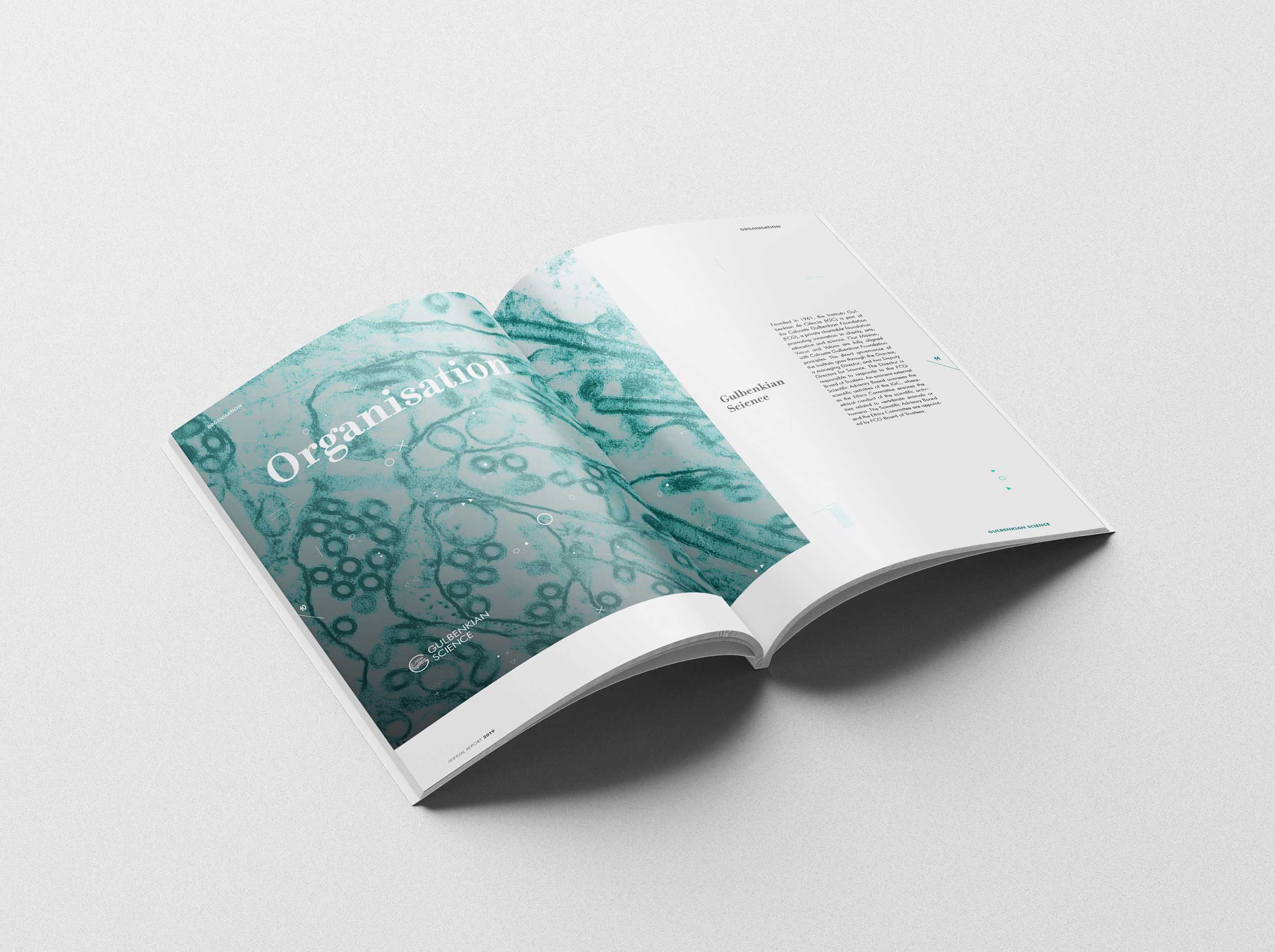 Gulbenkian_layout-5-galeria-4