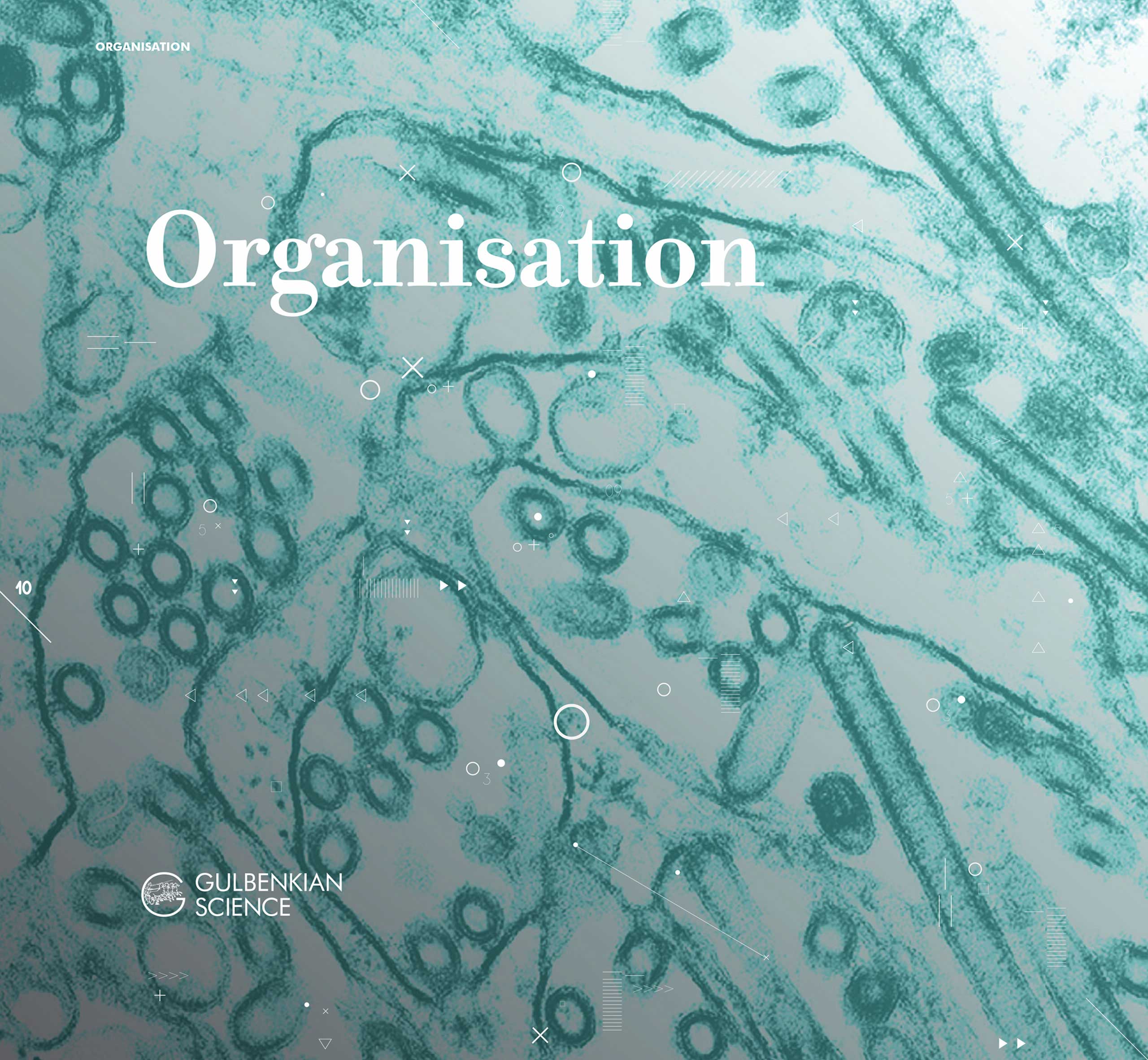 Gulbenkian_layout-7-galeria-2