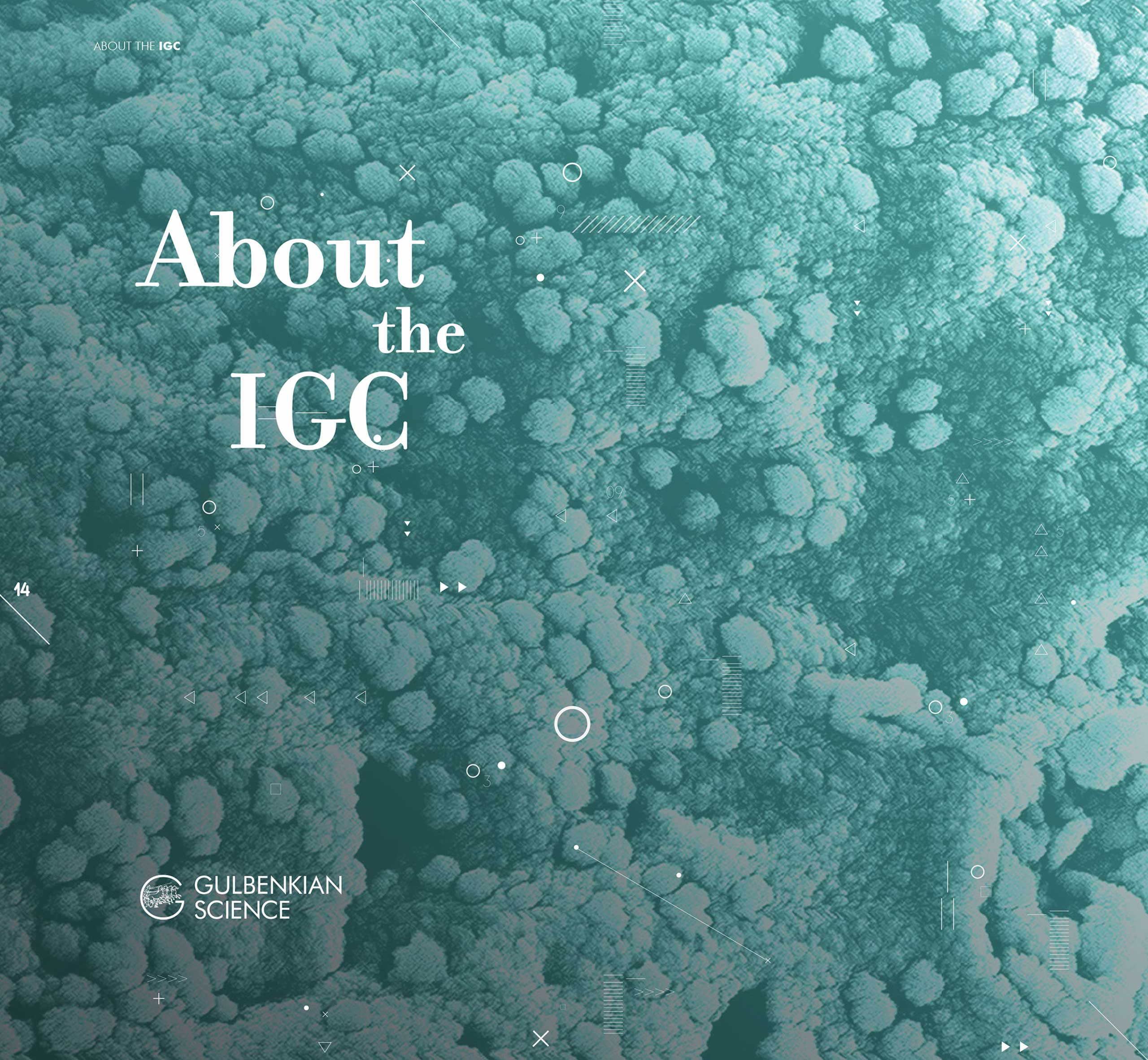 Gulbenkian_layout-7-galeria-3